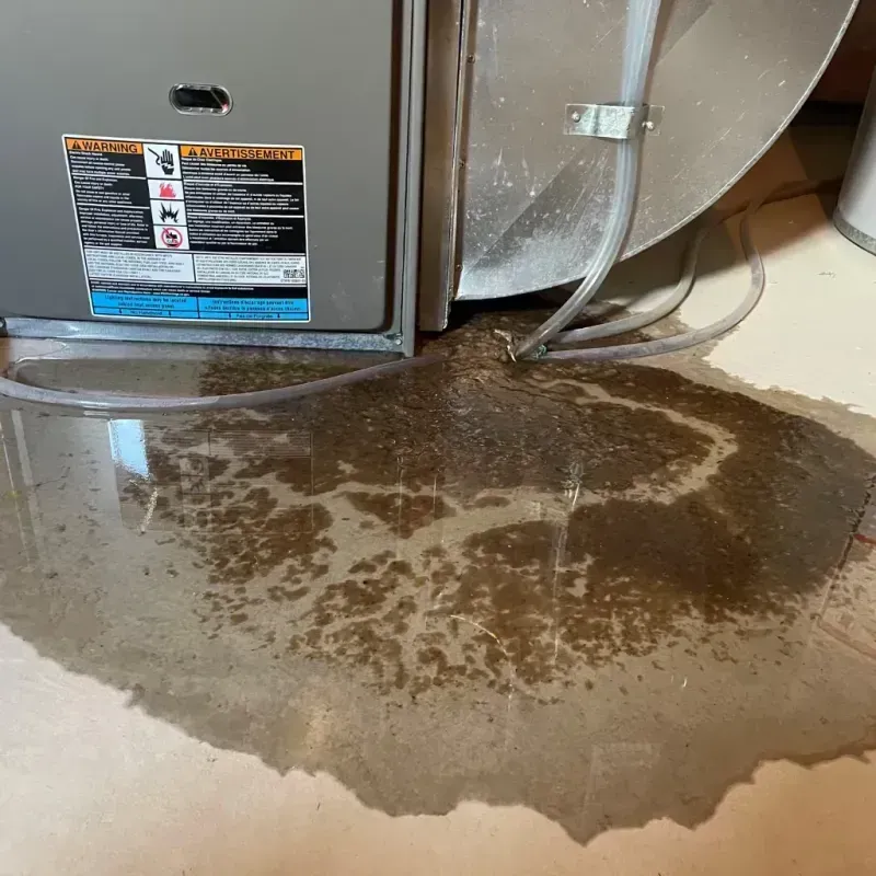 Appliance Leak Cleanup in Warren County, NJ